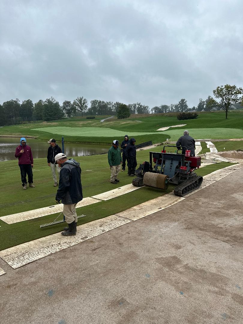 Volunteer renovation support at Caves Valley green area