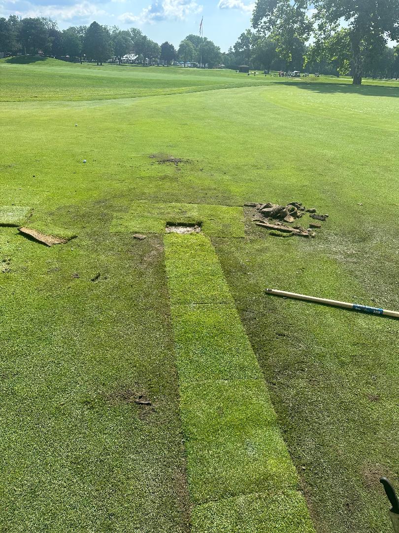 Practice area after repair
